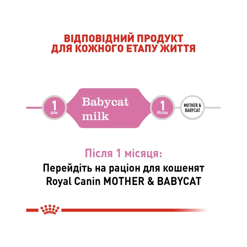 Royal Canin Babycat Milk заменитель молока для кошек 100 г (3182550710862)  - фото 1