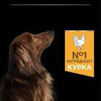 Purina Pro Plan Small & MINI Puppy ADULT Everyday Nutrition ChickenI СУХИЙ КОРМ Супер-преміум собаки малих порід (з куркою) 3 кг  - фото 3
