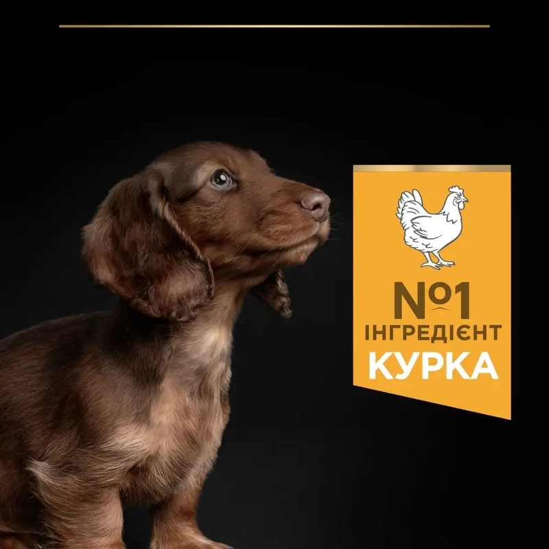 Purina Pro Plan Small & MINI Puppy 1< Healthy Start сухий корм для цуценят малих порід 3 кг - з куркою(7613035114340)  - фото 3