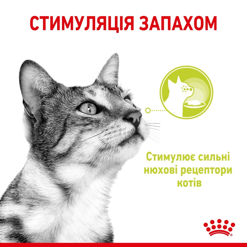 Royal Canin Sensory Smell Gravy ВОЛОГИЙ КОРМ Супер-преміум коти (вибагливі) 85 г  - фото 1