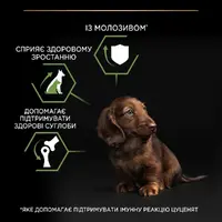 Purina Pro Plan Small & MINI Puppy 1< Healthy Start сухий корм для цуценят малих порід 3 кг - з куркою(7613035114340)  - фото 4