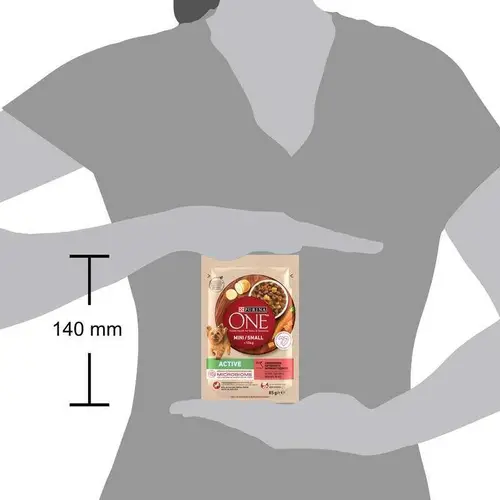 Purina One Mini влажный корм для собак 100 г - с говядиной, картофелем и морковью (7613036473477)