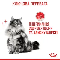 Royal Canin Hair&Skin Care in Jelly ВОЛОГИЙ КОРМ Супер-преміум коти (для підтримки здоров'я шкіри та шерсті) 85 г  - фото 3