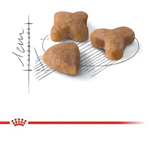 Royal Canin Sensible Regular сухий корм для котів з чутливим травленням 400 г (3182550702263)