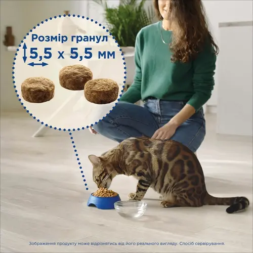 Cat Chow Adult сухий корм для котів 15 кг - з качкою (7613035394889)