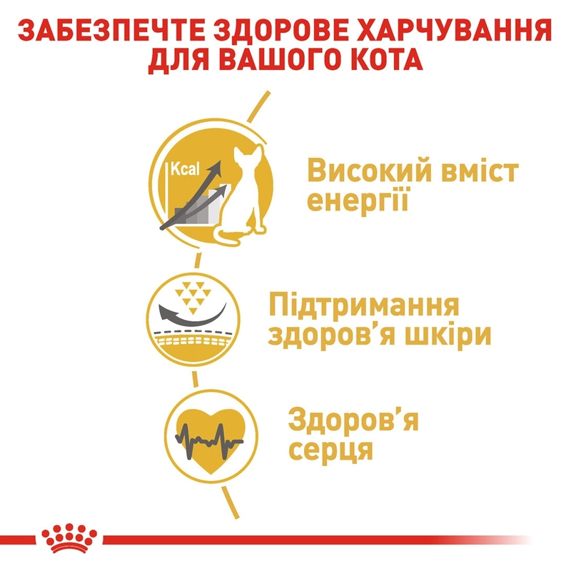 Royal Canin Sphynx Adult сухой корм для кошек 2 кг (3182550758840)  - фото 2