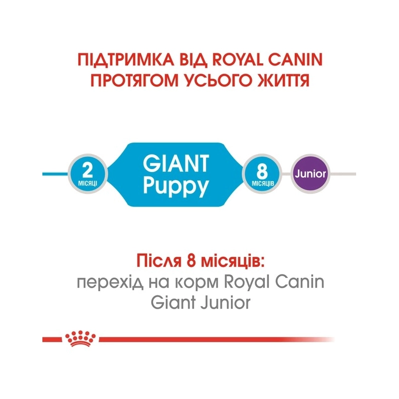 Royal Canin GIANT Puppy СУХИЙ КОРМ Супер-преміум цуценята гігантських порід (з м'ясом) 1 кг  - фото 2