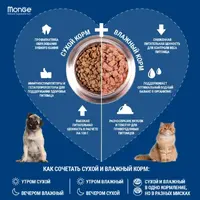Monge Sterilised Chicken Natural сухий корм для стерилізованих котів 400 г - з куркою (8009470011921)  - фото 4