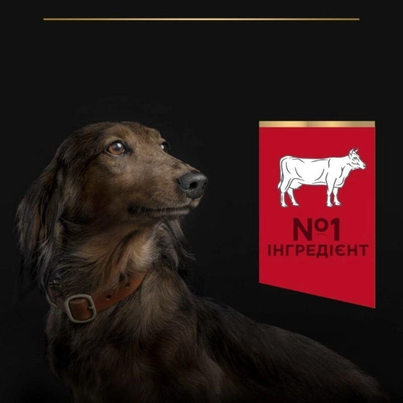 Purina Pro Plan Duo Delice Small & MINI ADULT СУХИЙ КОРМ Супер-преміум собаки дрібних порід (з яловичиною) 2.5 кг  - фото 4
