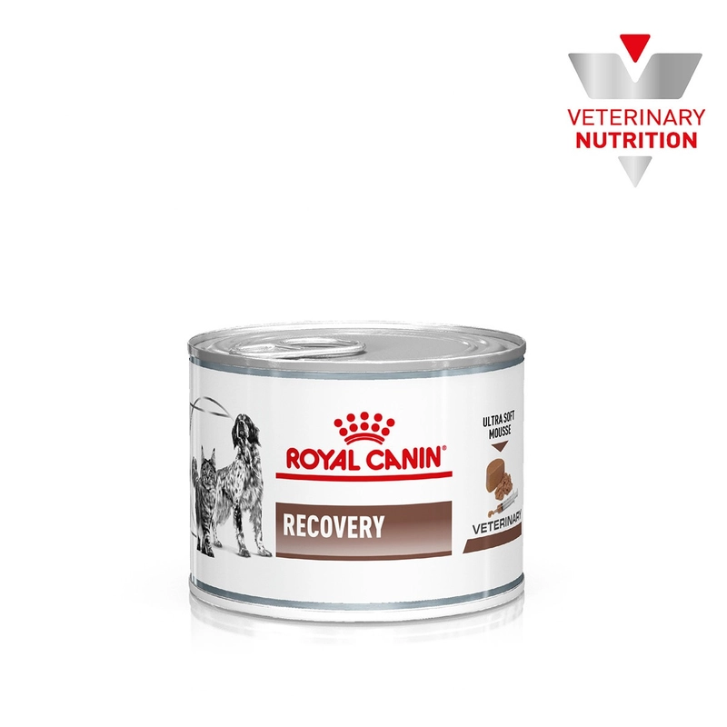Royal Canin Recovery ВОЛОГИЙ КОРМ Холістік коти (для відновлення) 195 г 