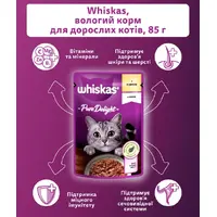 Вологий корм для котів Whiskas з куркою в желе 85 г (5900951302138)  - фото 1