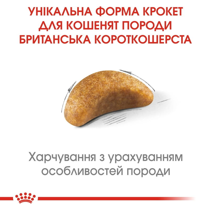 Royal Canin Kitten British Shorthair сухий корм для кошенят 400 г (3182550816526)  - фото 1