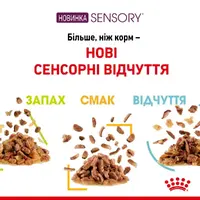 Royal Canin Sensory Taste Jelly влажный корм для привередливых кошек 85 г (9003579018910)  - фото 2