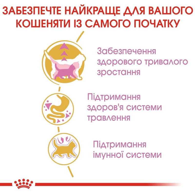 Royal Canin Maine coon Kitten сухий корм для кошенят 400 г (3182550770941)  - фото 2