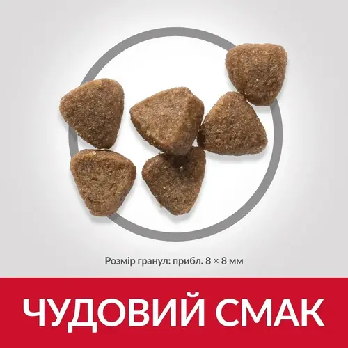 Hill's SP Kitten сухий корм для кошенят 300 г - з куркою (052742022741)