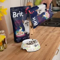 Brit Premium by Nature Sterilised СУХИЙ КОРМ Premium коти (з куркою) 300 г  - фото 2