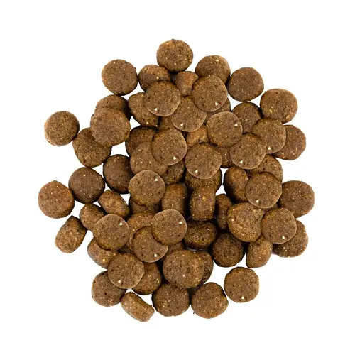 Savory ADULT Small Breed Duck & Rabbit сухий корм для собак 1 кг - з качкою та кроликом (4820232630167)