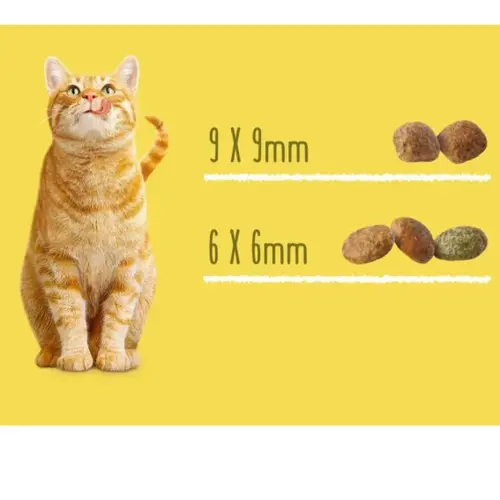 Friskies сухий корм для стерилізованих котів 1.5 кг - з лососем та овочами (7613033002458)