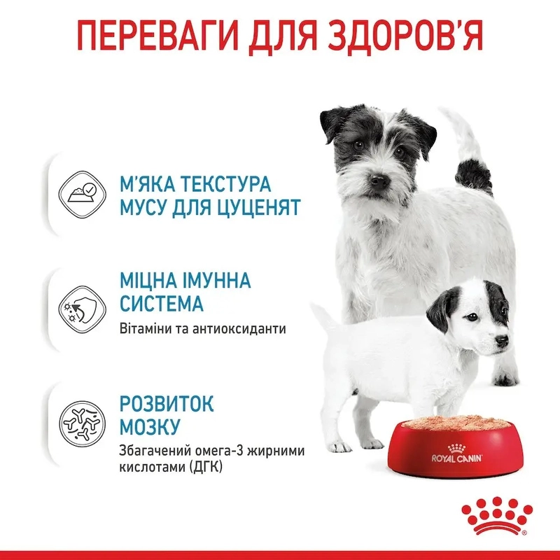 Royal Canin Starter Mousse CANS ВОЛОГИЙ КОРМ Супер-преміум собаки (з м'ясом) 195 г  - фото 1