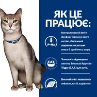 Hill's Prescription Diet k/d Kidney Care влажный корм для кошек 85 г - с курицей (52742341002)  - фото 2