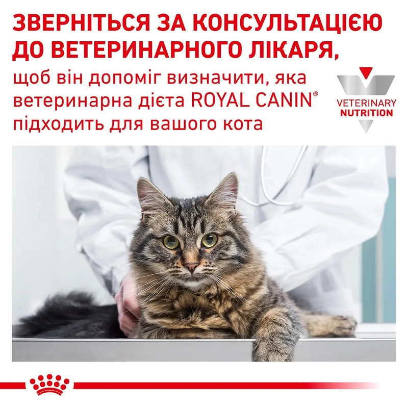 Royal Canin Neutered Maintenance Cat влажный корм для стерилизованных кошек 85 г (9003579027615)  - фото 2