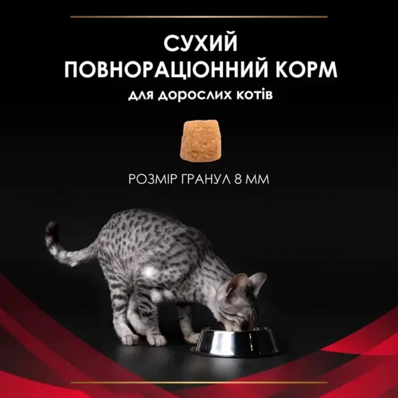 Purina Pro Plan Veterinary Diets DM Diabetes Management СУХИЙ КОРМ Холістік коти (при цукровому діабеті) 1.5 кг  - фото 1