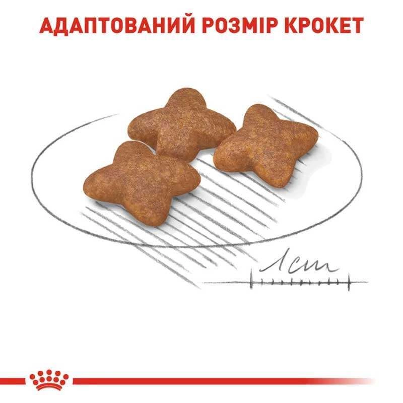 Royal Canin MINI ADULT S сухий корм для собак дрібних порід 800 г (3182551055658)  - фото 4