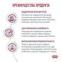 Royal Canin Renal сухий корм для котів при захворюваннях нирок 400 г (3182550914833)  - фото 3