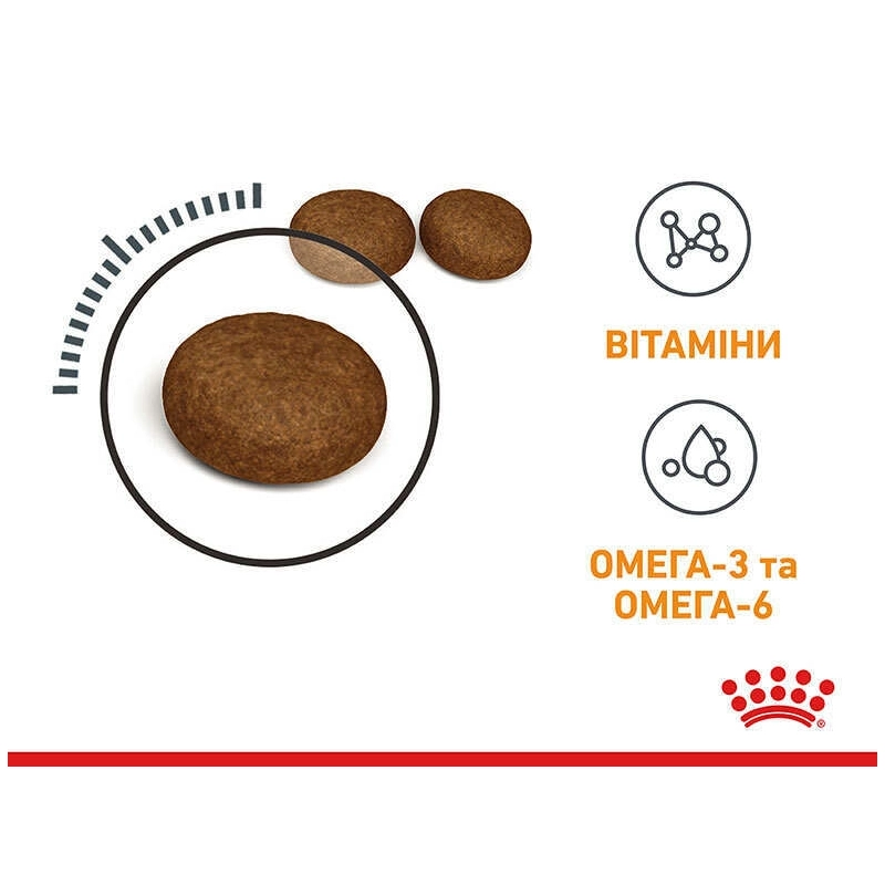 Royal Canin Hair&Skin Care сухий корм для котів для здоров'я шкіри та шерсті 400 г (3182550721721)  - фото 1
