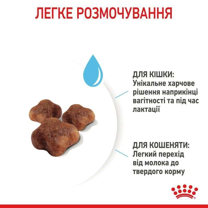 Royal Canin Mother&BabyCat сухий корм для вагітних кішок та кошенят 400 г (3182550707305)  - фото 4