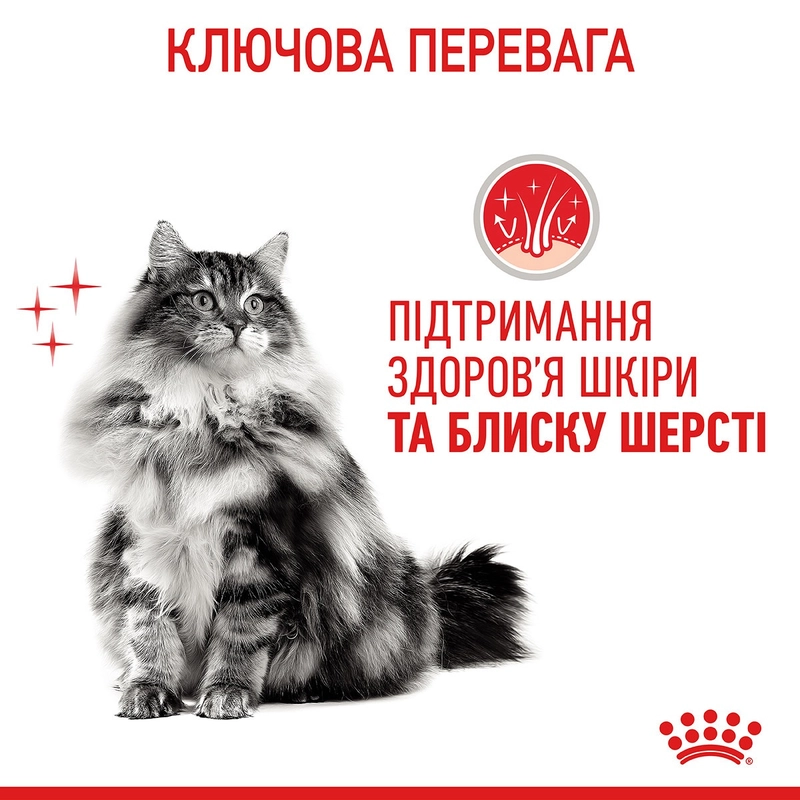 Royal Canin Hair&Skin Care in Jelly ВОЛОГИЙ КОРМ Супер-преміум коти (для підтримки здоров'я шкіри та шерсті) 85 г  - фото 3