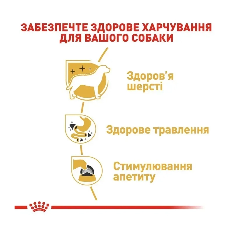 Royal Canin Chihuahua Adult влажный корм для собак 85 г (9003579001516)  - фото 3