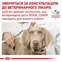 Royal Canin Sensitivity Control DUCK ВОЛОГИЙ КОРМ-ДІЄТА Холістік собаки (паштет з качкою) 410 г  - фото 3