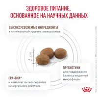 Royal Canin Gastrointestinal Moderate Calorie сухий корм для котів 400 г (3182550771283)  - фото 1