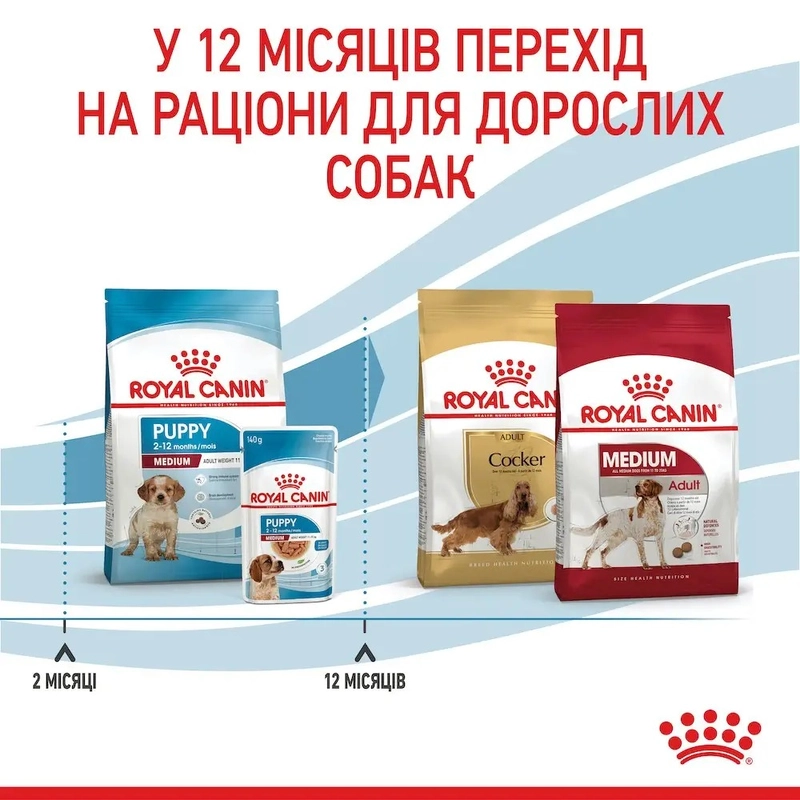 Royal Canin Medium Puppy сухий корм для цуценят середніх порід 1 кг (3182550402439)  - фото 2