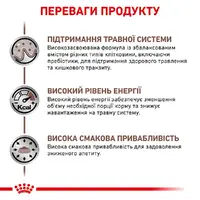 Royal Canin Gastrointestinal ВОЛОГИЙ КОРМ Холістік коти (при розладах травлення) 85 г  - фото 1