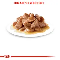 Royal Canin Urinary Care влажный корм для кошек для поддержки здоровья мочевыводящей системы 85 г (9003579000366)  - фото 2