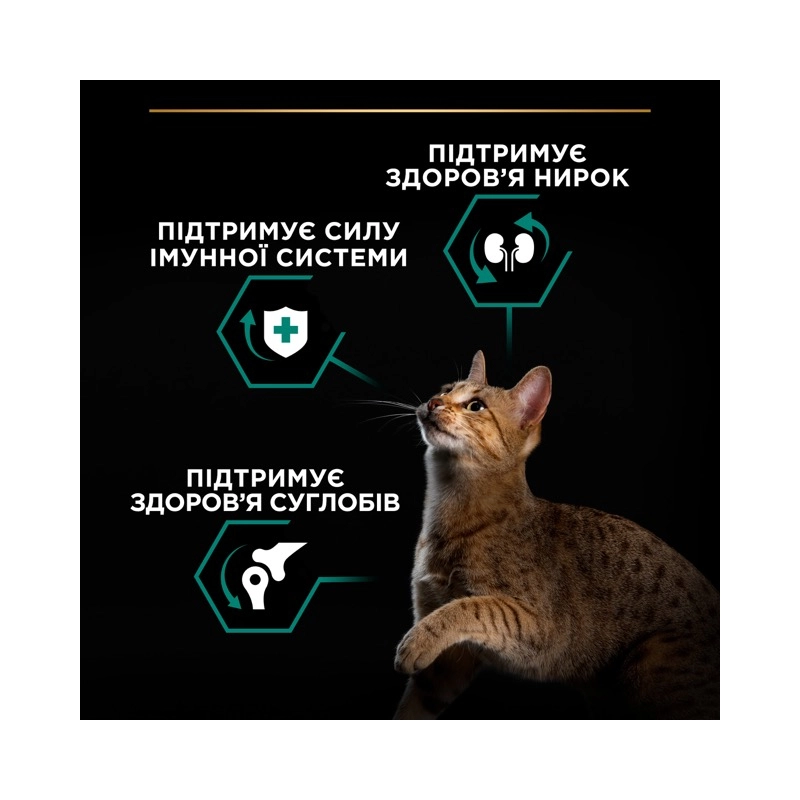 Purina Pro Plan Adult 1+ Renal Plus сухий корм для котів 1.5 кг - з куркою (7613036505956)  - фото 5
