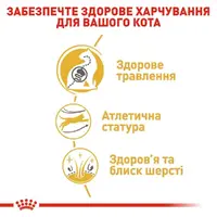 Royal Canin Bengal Adult СУХИЙ КОРМ Супер-преміум коти породи бенгальська (з м'ясом) 2 кг  - фото 2