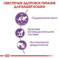 Royal Canin Sterilised Jelly влажный корм для стерилизованных кошек 85 г (9003579311776)  - фото 1