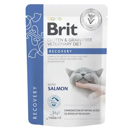 Brit VetDiet Gluten GF Recovery ВОЛОГИЙ КОРМ Холістік коти (з лососем) 85 г
