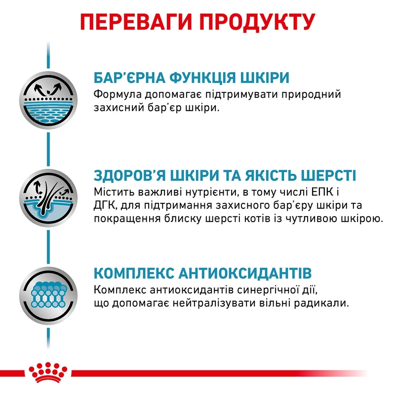 Royal Canin Skin&Coat ВОЛОГИЙ КОРМ Супер-преміум коти (для здоров'я шкіри та шерсті) 85 г  - фото 1