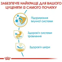 Royal Canin FRENCH BULLDOG Puppy СУХИЙ КОРМ Супер-преміум цуценята породи французький бульдог (з м'ясом) 1 кг  - фото 2