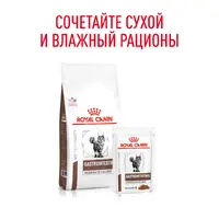 Royal Canin Gastrointestinal Moderate Calorie сухий корм для котів 400 г (3182550771283)  - фото 2