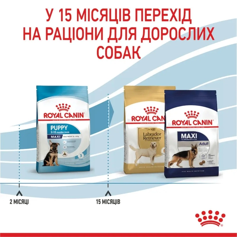 Royal Canin Maxi Puppy сухий корм для цуценят великих порід 15 кг (3182550402163)  - фото 2