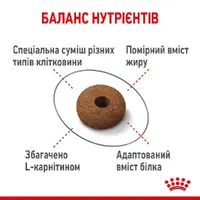 Royal Canin Appetite Control СУХИЙ КОРМ Супер-преміум коти (для контролю апетиту) 2 кг  - фото 1