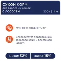 Club 4 Paws Premium сухий корм для котів 300 г - з лососем (4820083909221)  - фото 2