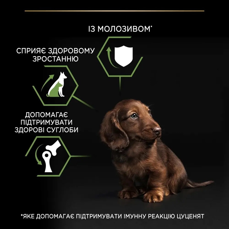Purina Pro Plan Small & MINI Puppy 1< Healthy Start сухий корм для цуценят малих порід 3 кг - з куркою(7613035114340)  - фото 4