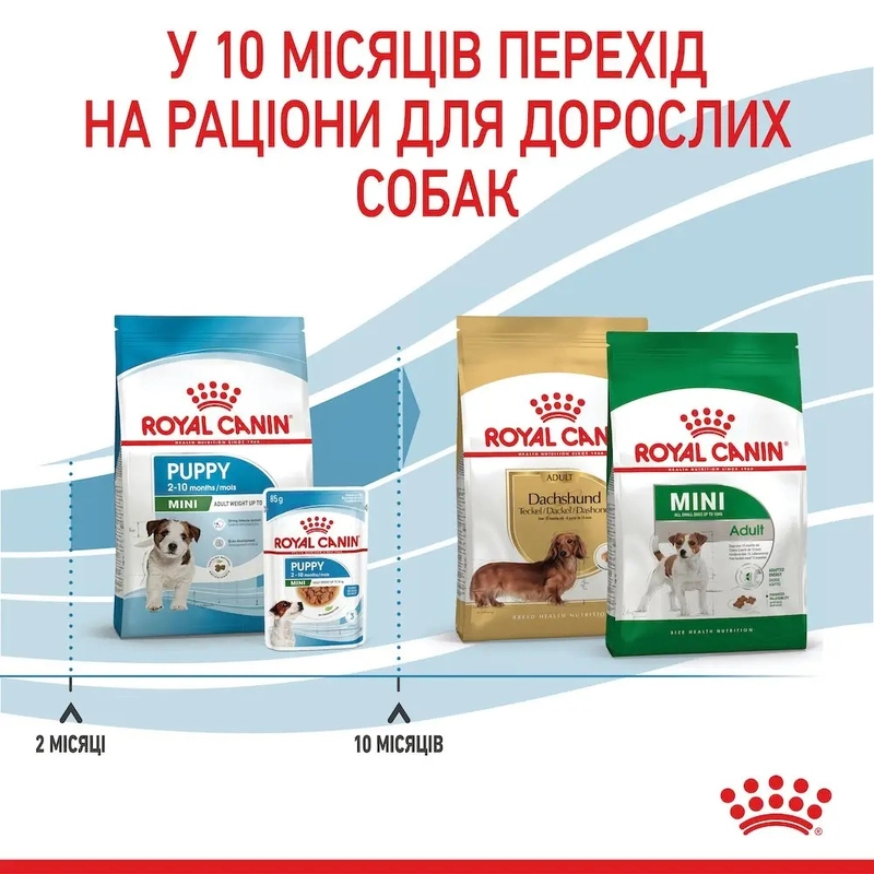 Royal Canin MINI Puppy сухой корм для щенков мелких пород 800 г (3182550792929)  - фото 2