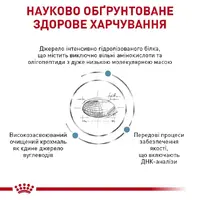 Royal Canin Anallergenic S сухий корм для собак дрібних порід з харчовою алергією 1.5 кг (3182550938785)  - фото 2